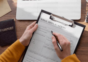 111Digital Marketing For Visa Consultancy Business is inexpensive